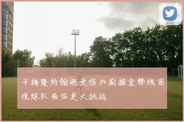 卡梅隆约翰逊受伤加剧掘金锋线困境球队面临更大挑战
