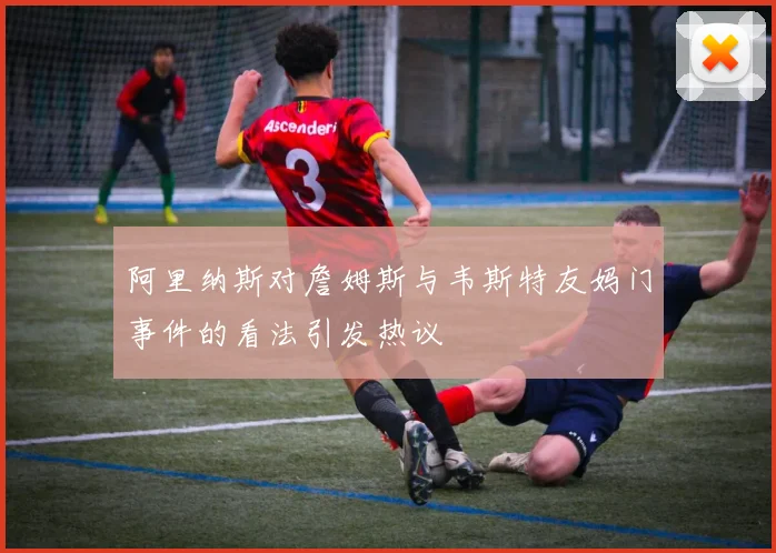 阿里纳斯对詹姆斯与韦斯特友妈门事件的看法引发热议